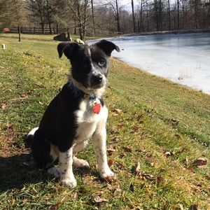 Meet your Posher, Holly